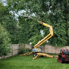 Best Tree Mulching  in Coushatta, LA