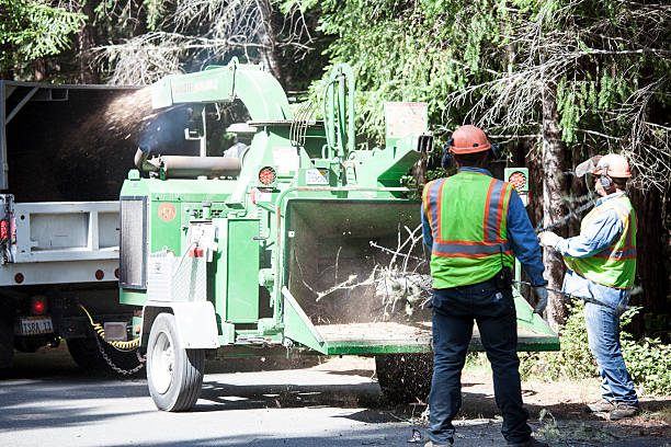 Best Tree Preservation Services  in Coushatta, LA